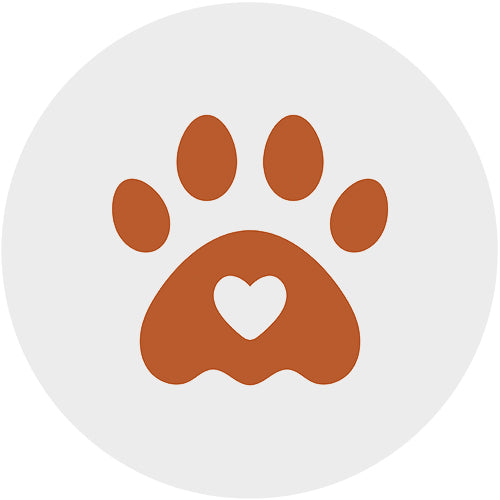 Pet Supplies