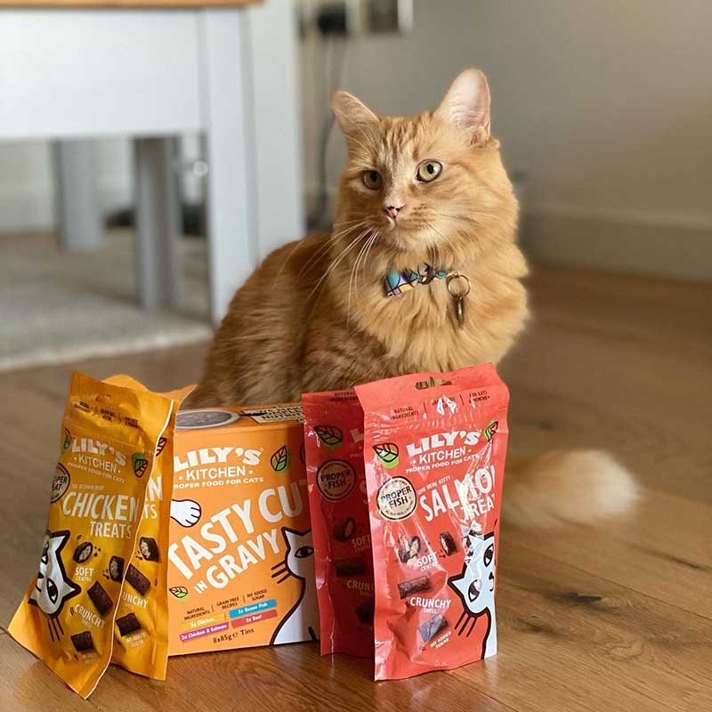 Lily's Kitchen Chicken Pillow Cat Treats 60G