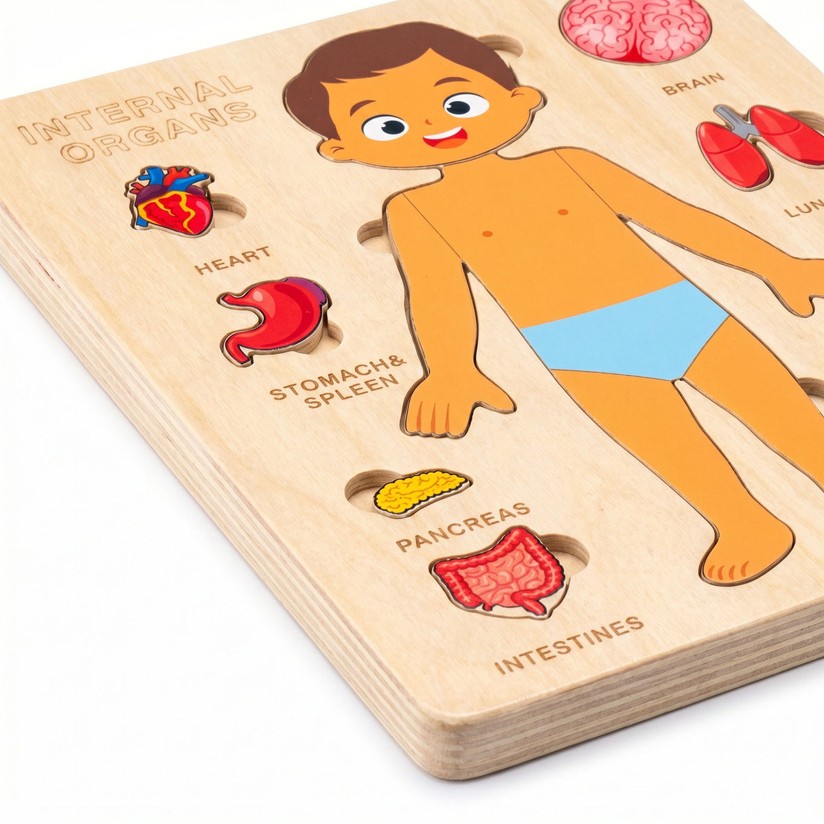 Body Anatomy Puzzle