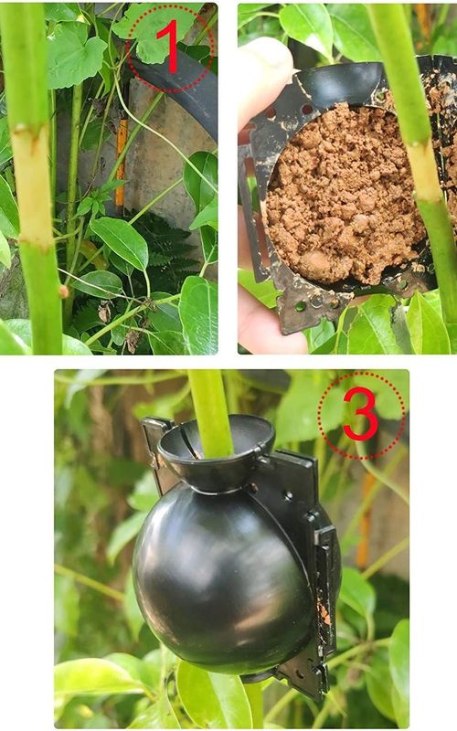 Air Layering Propagation Balls Hight-pressure Plant Rooting Ball Root Grafting Growing Breed