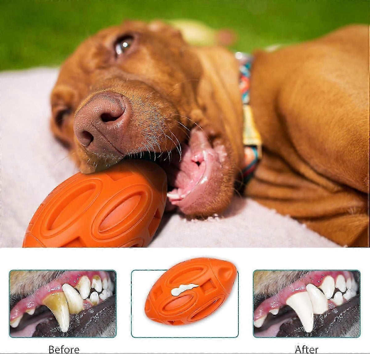 Indestructible Dog Toy, Dog Chew Toy Rubber Sound Ball Dog Games Toy For Medium And Large Dogs