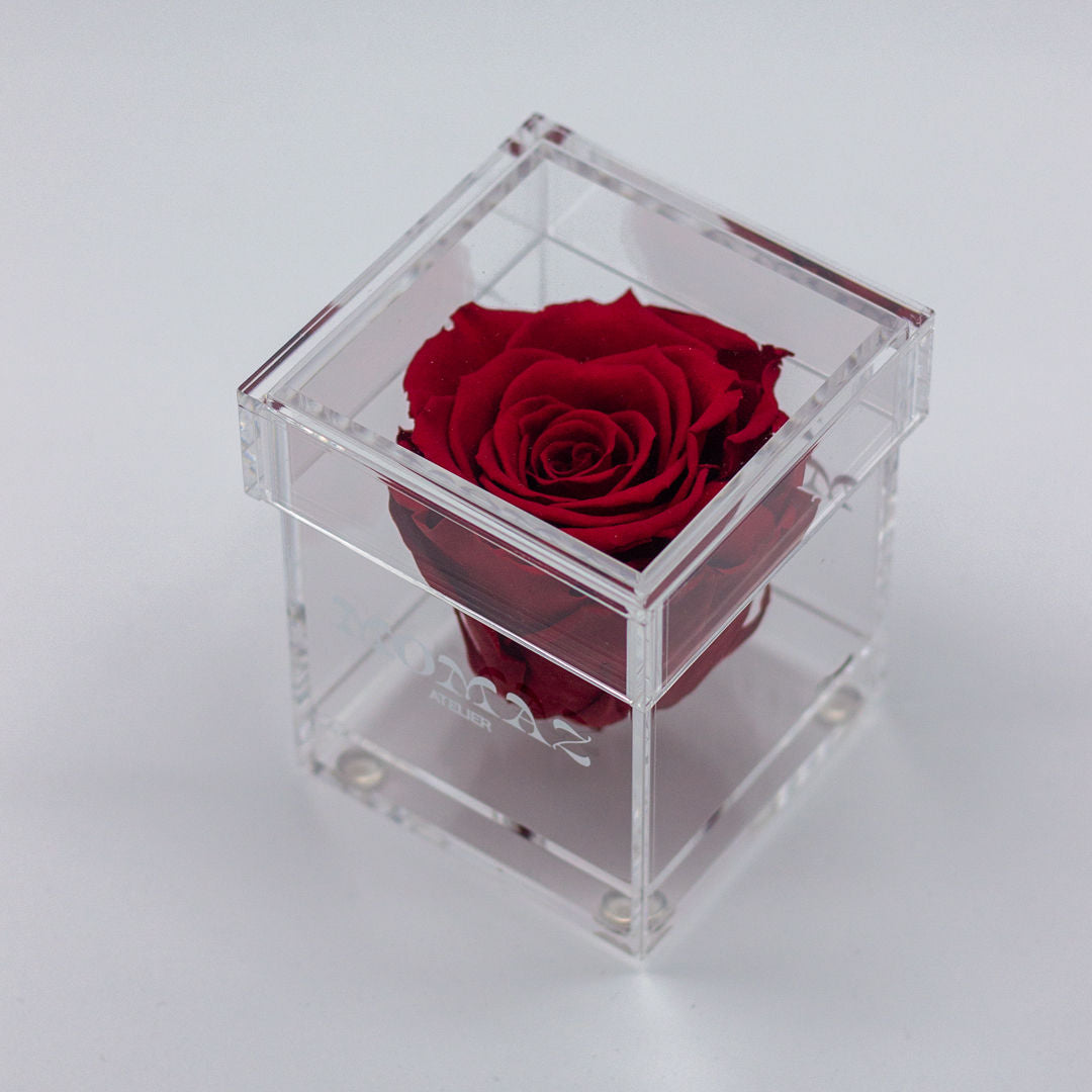 Long Life Single Rose-Red
