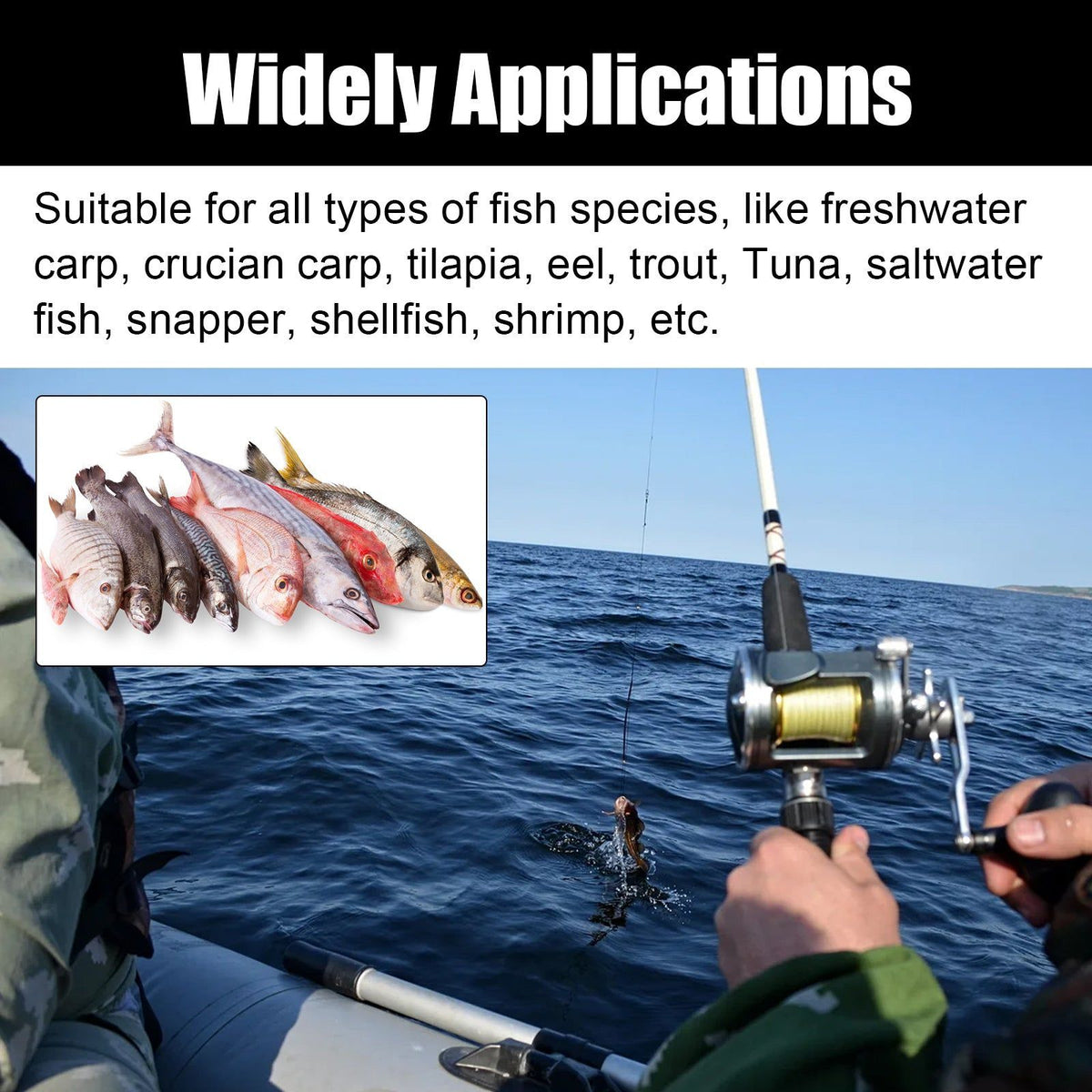 Decoy Bait Liquid, Fast-Acting Fish Attractant for Freshwater & Saltwater Species ,60ml