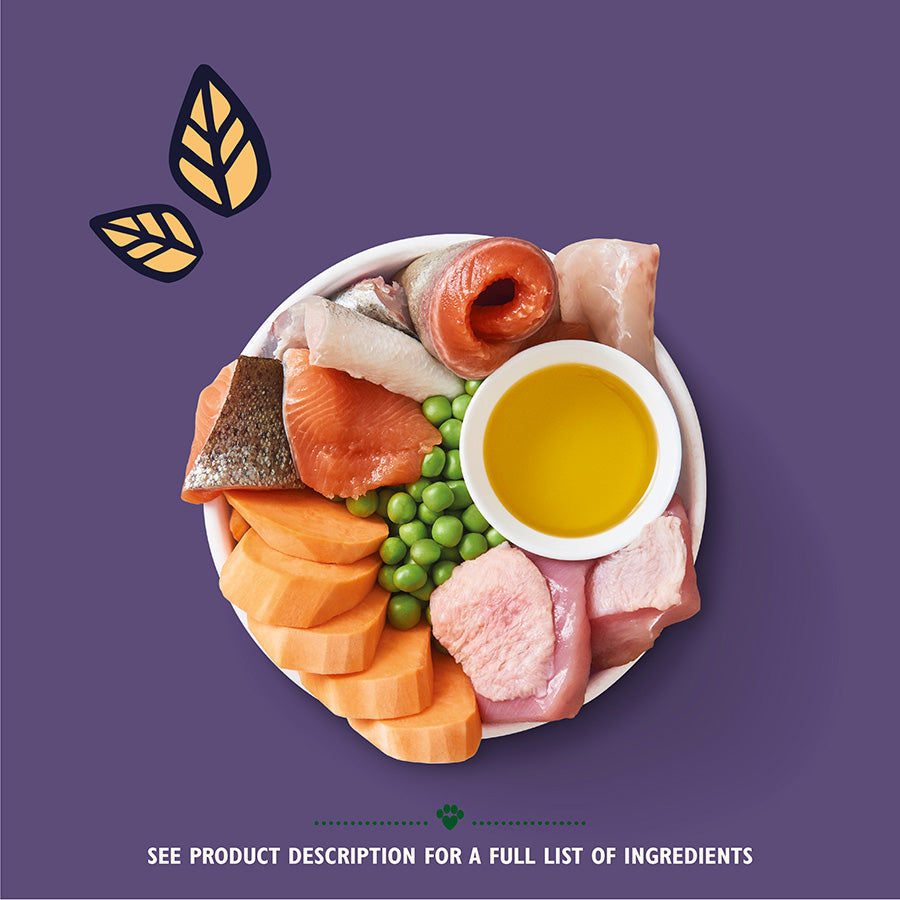 Lily's Kitchen Adult 8+ Senior Recipe Turkey, Trout and Seasonal White Fish Dry Dog Food 7kg