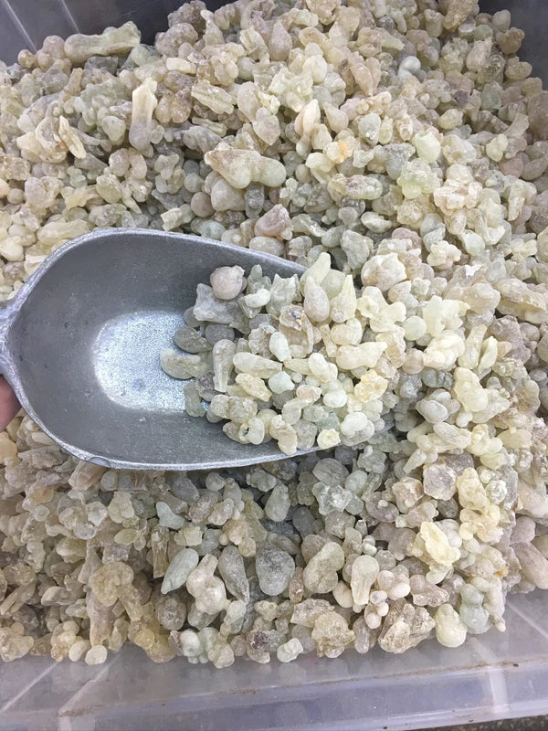 Premium Omani Hojari Frankincense Resin (Boswellia sacra) 1KG