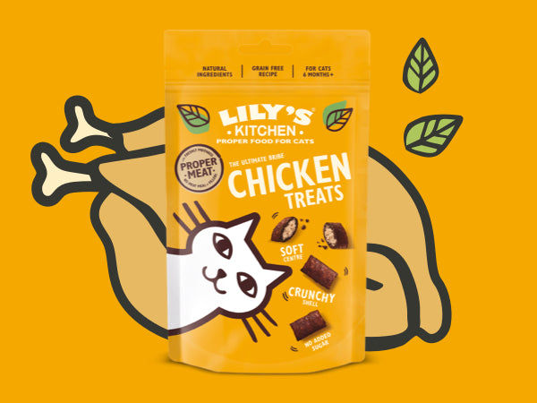 Lily's Kitchen Chicken Pillow Cat Treats 60G