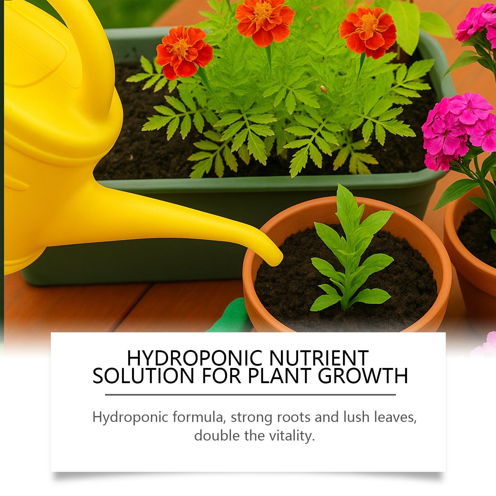 Boost Plant Growth with Plant Nutrient, Hydroponic Fertilizer, Root Activator ,90ml