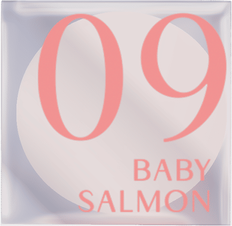 Exowhite Cushion Blush 4ml Baby Bright (M) 09 Baby Salmon