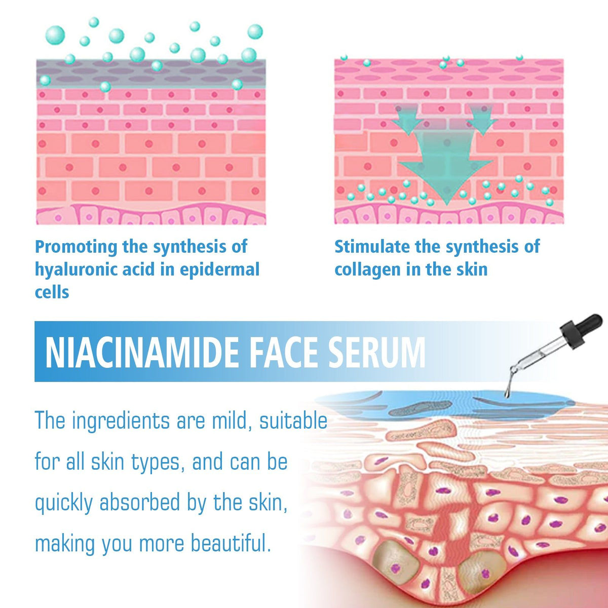 Revitalize Your Skin with Niacinamide Facial Essence, Brightening, Firming, Hydrating, Anti-Aging ,30ml