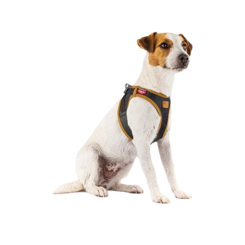 Curli Vegan Leather Harness for Dogs - Large