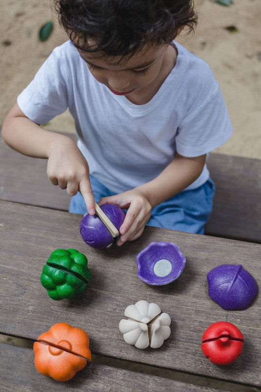 PlanToys 5 Colors Veggie Set — Wooden Pretend Play Food
