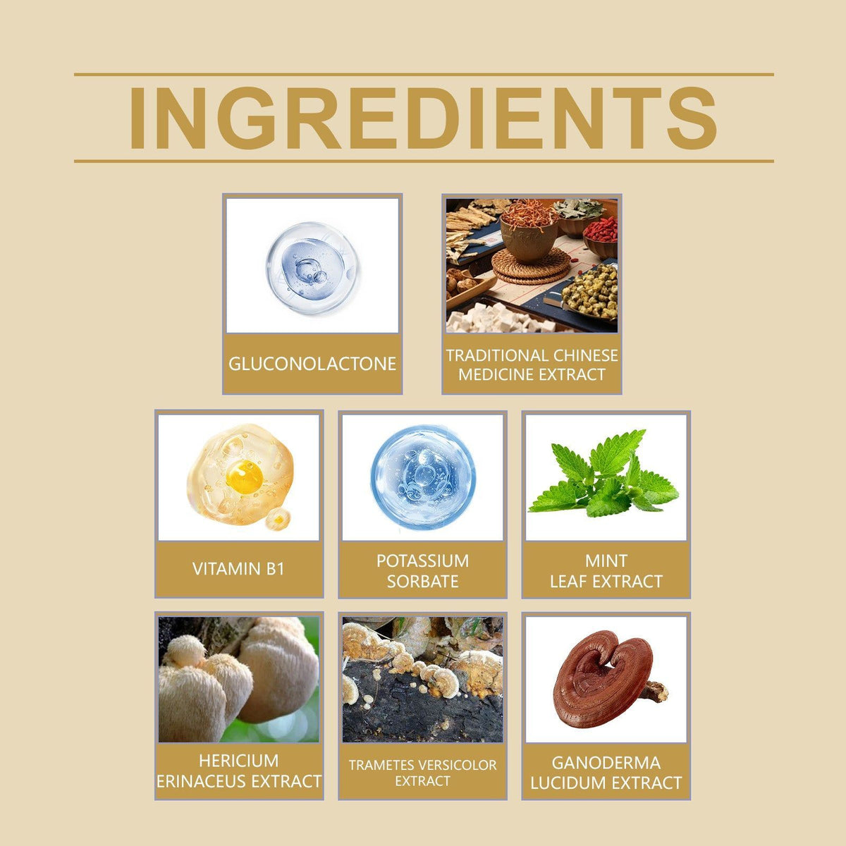 Boost Immunity with Mushroom Complex, Gentle Body Care Drops for Stress Relief ,60ml