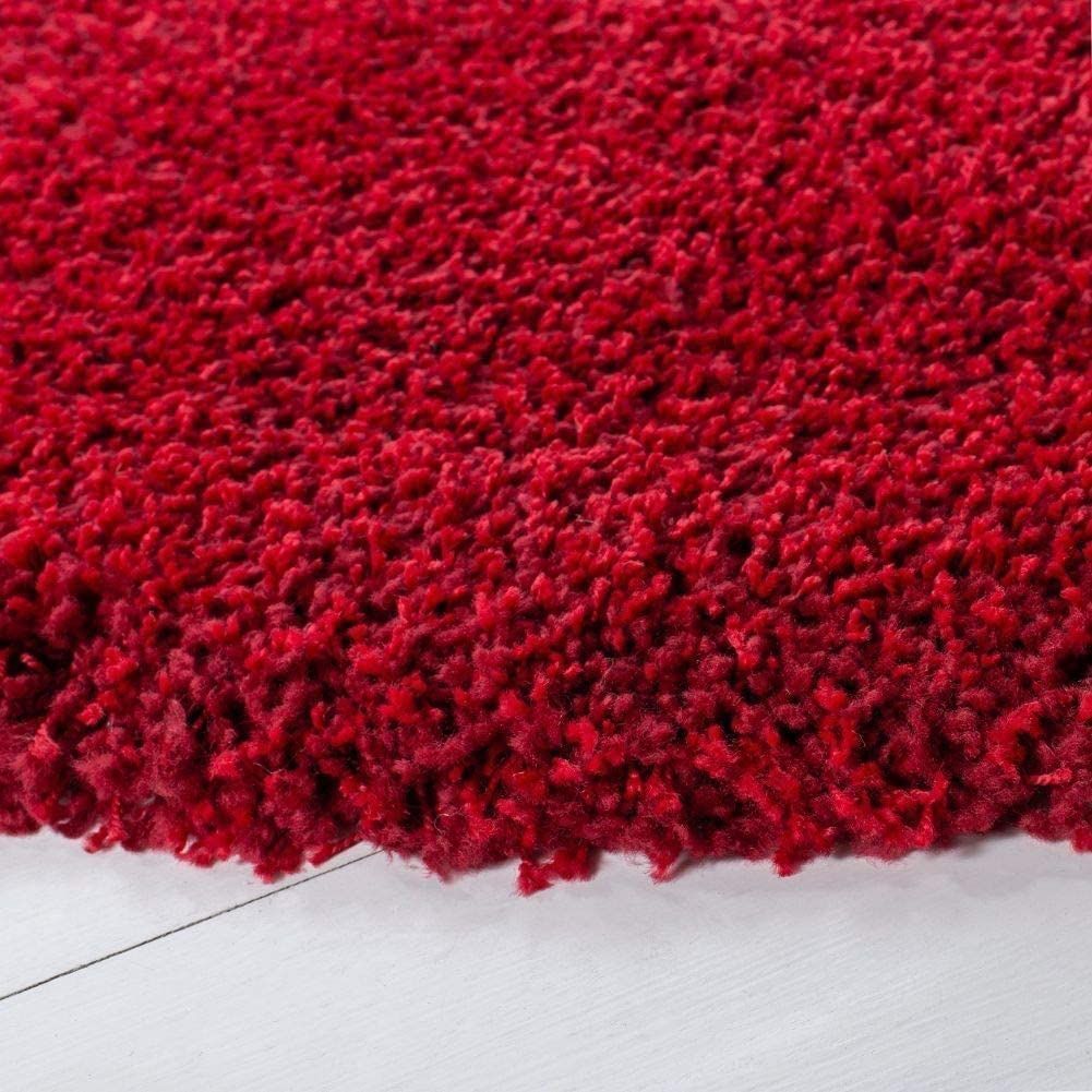 AIESY®  Soft Touch Anti-Skid Micro-Poly Shaggy Door Mat for Home