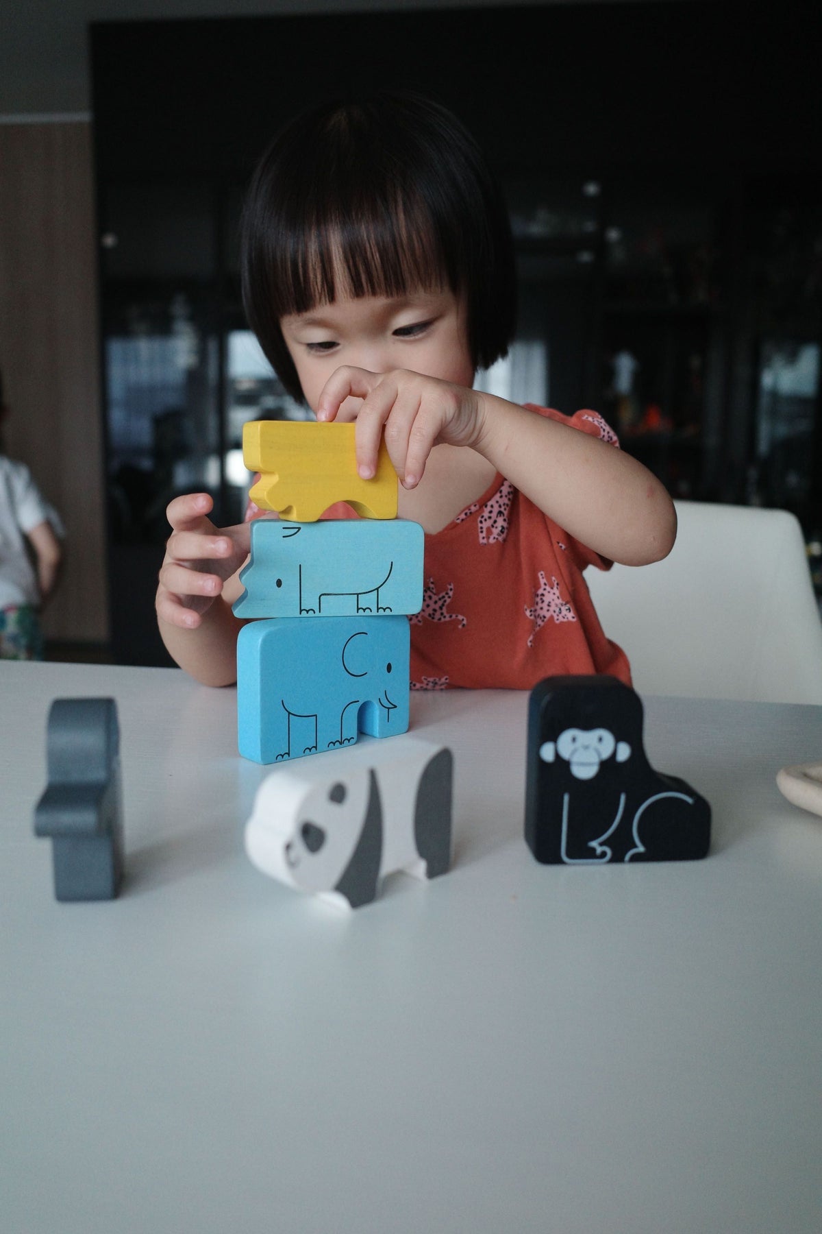 PlanToys Animal Puzzle Game