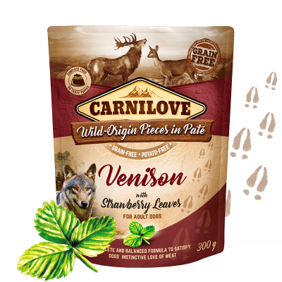Carnilove Vension With Strawberry Leaves for Adult Dogs 300g  (wet food pouches)