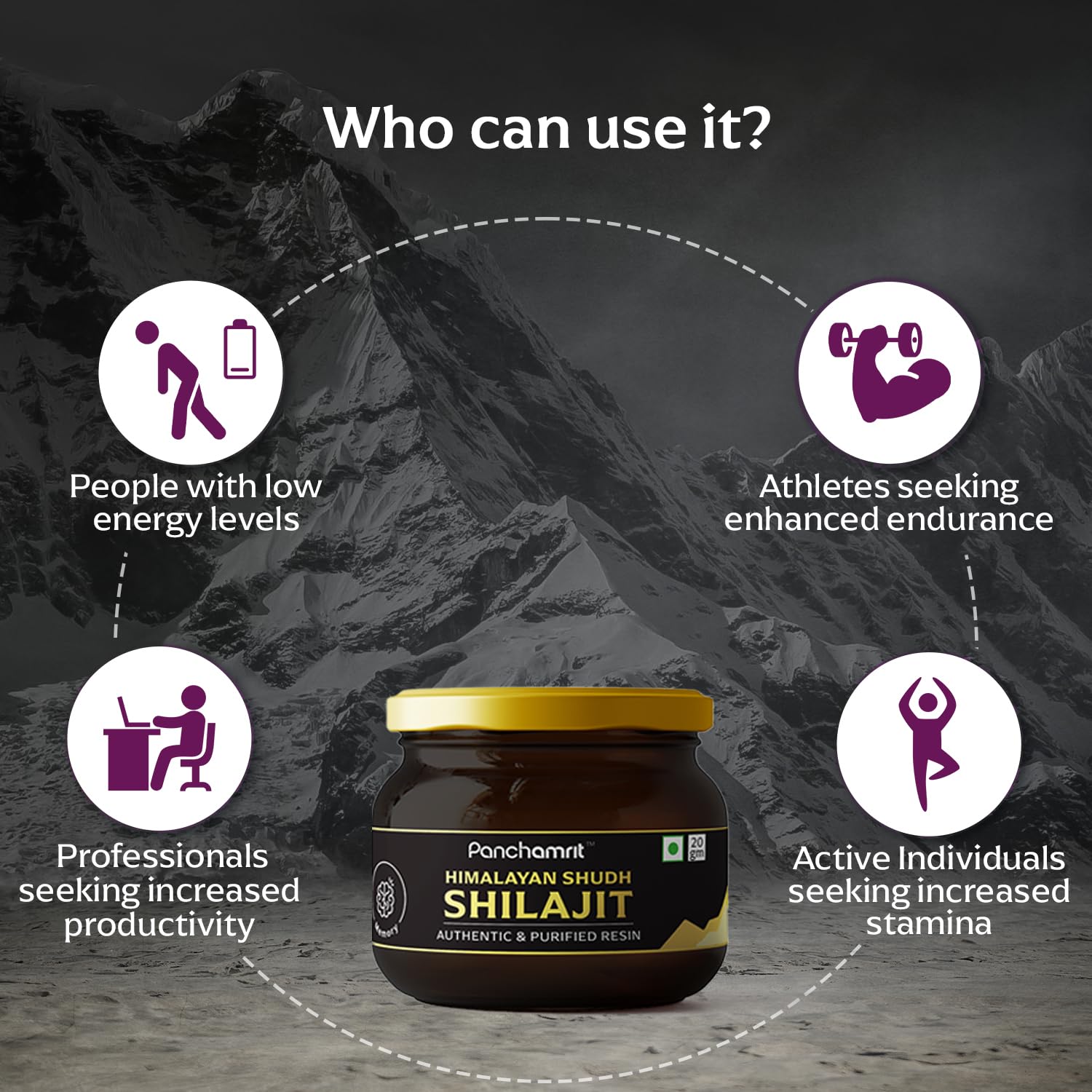Panchamrit Himalayan Shudh Shilajit Resin 20g