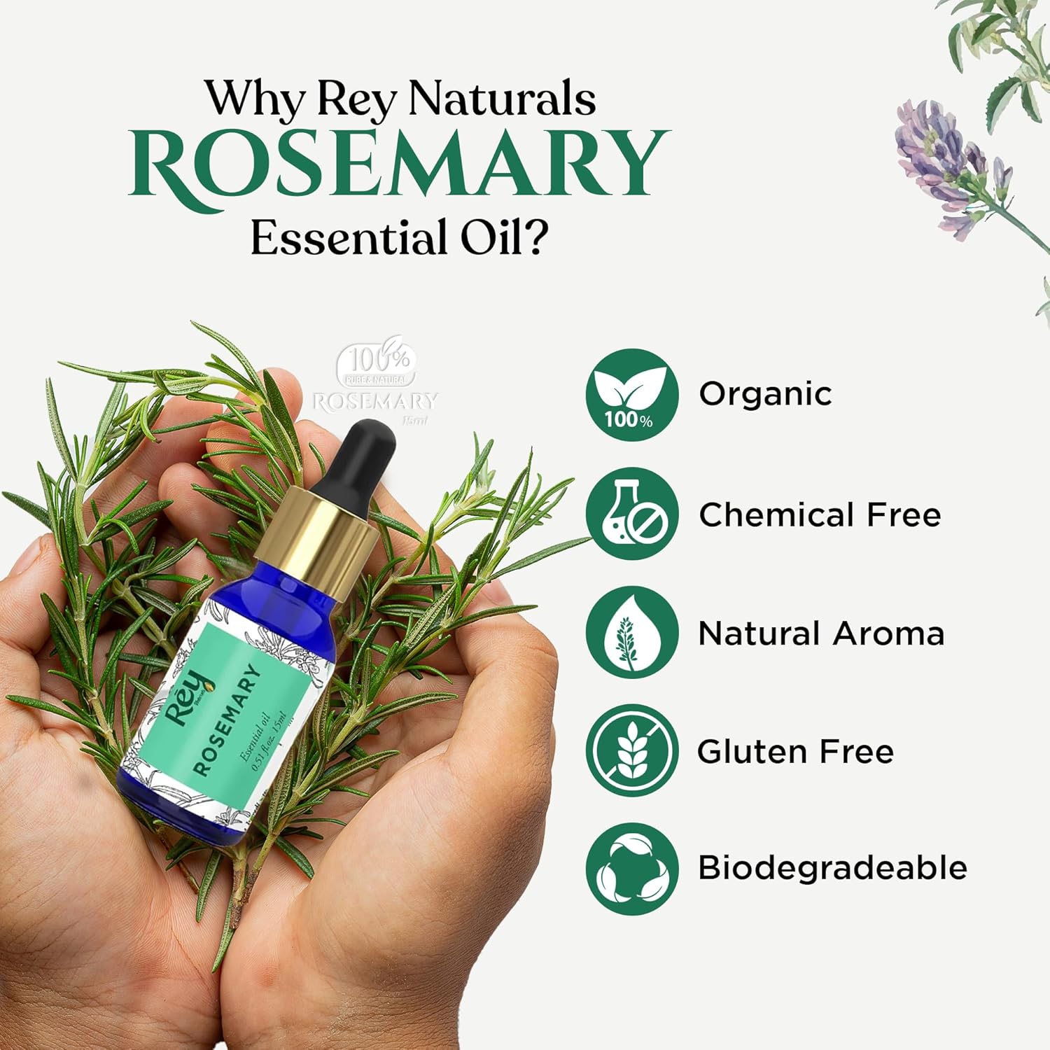 Rey Naturals Rosemary essential oil for hair growth, Skin and Aroma 15 ml