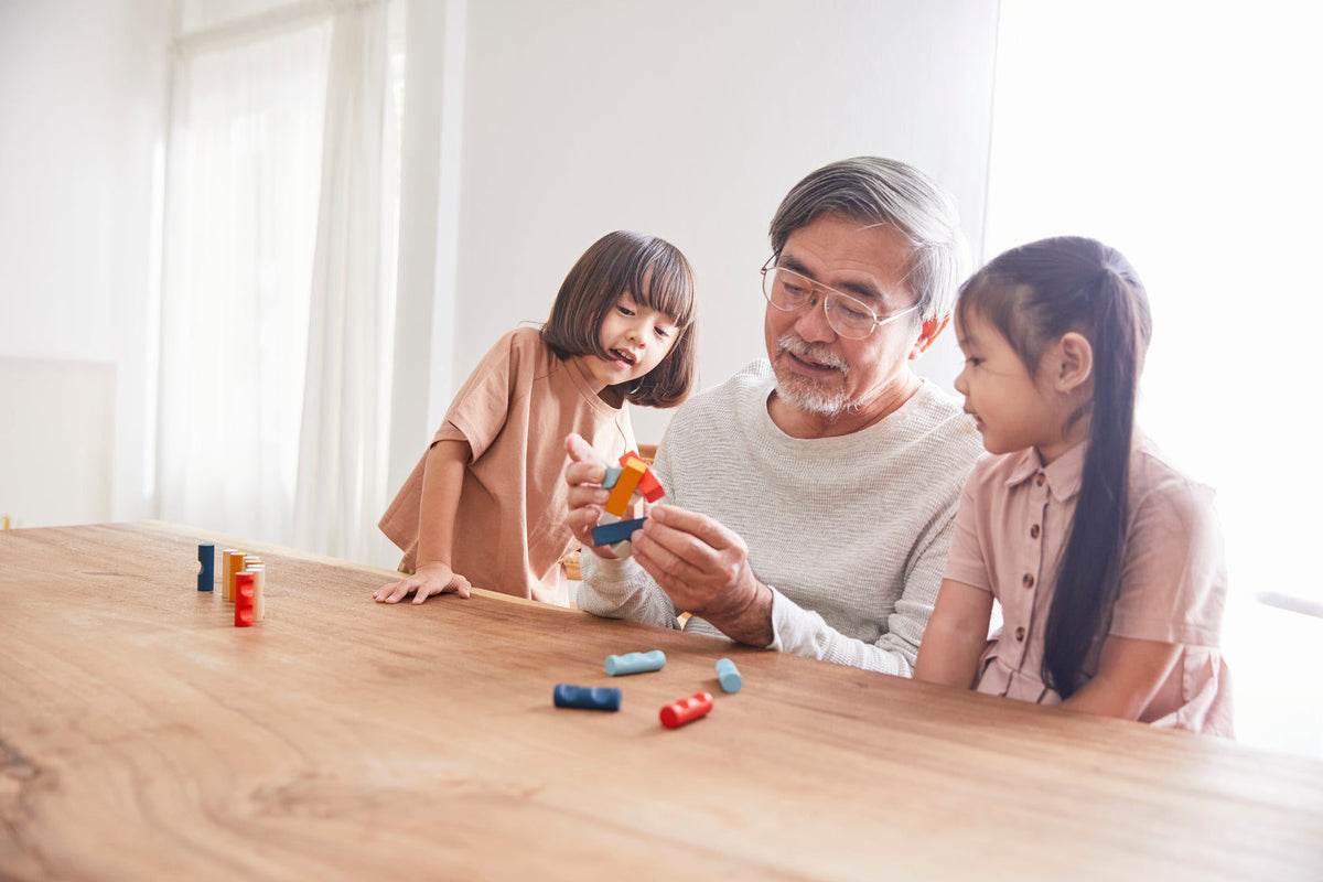 PlanToys PlanMini Log Puzzle