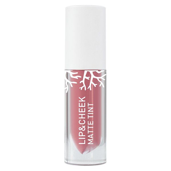 LIP & CHEEK MATTE TINT 2.4G BABY BRIGHT (M) #04 SPICED CORAL t.