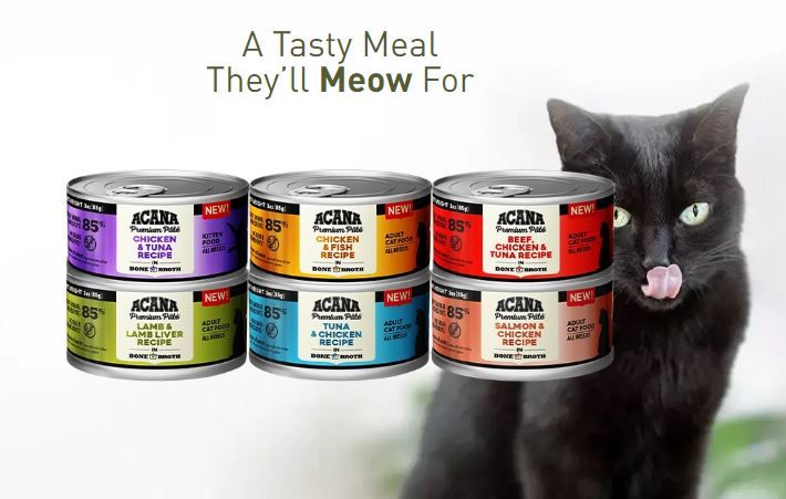Acana Premium Beef Pate Cat Wet Food 85G