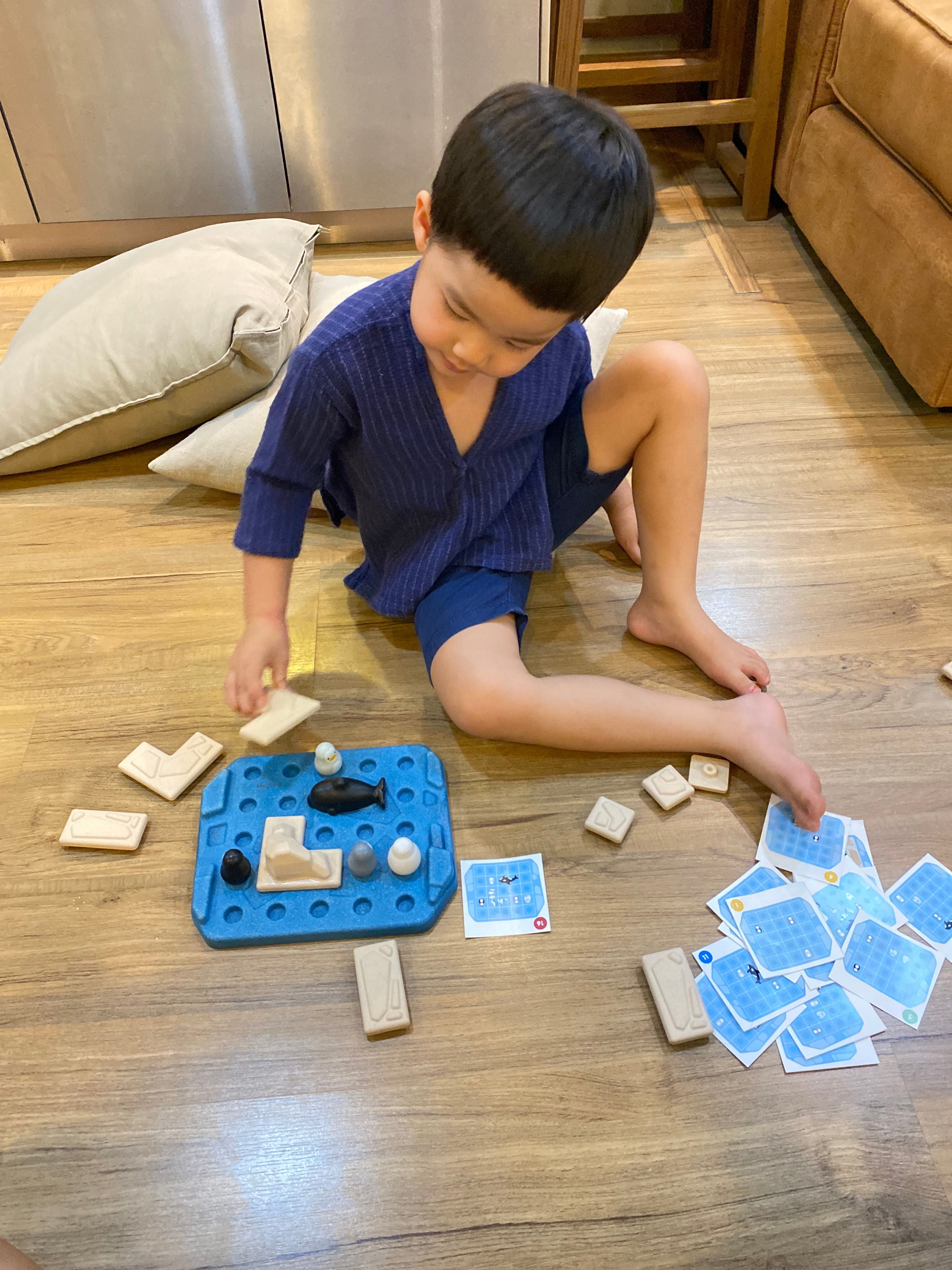 PlanToys Finding Penguin Game