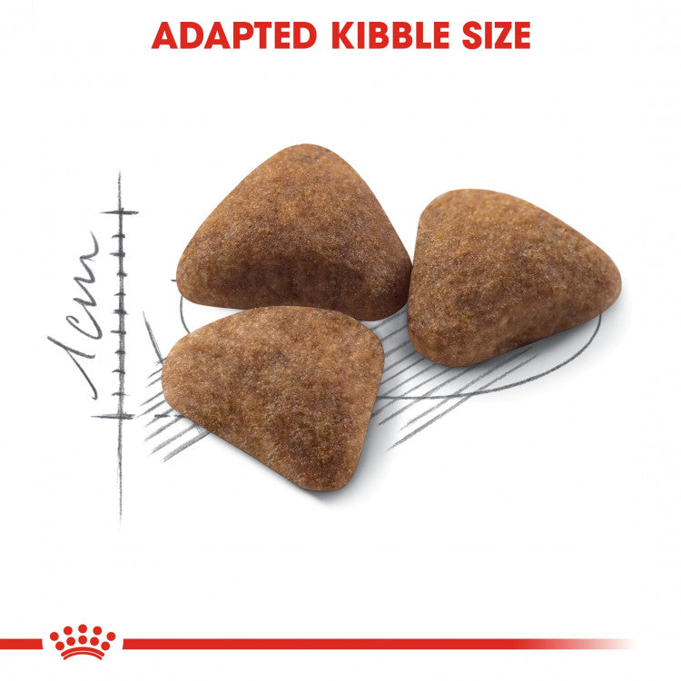 Royal Canin Feline Health Nutrition Indoor 27 - 2kg