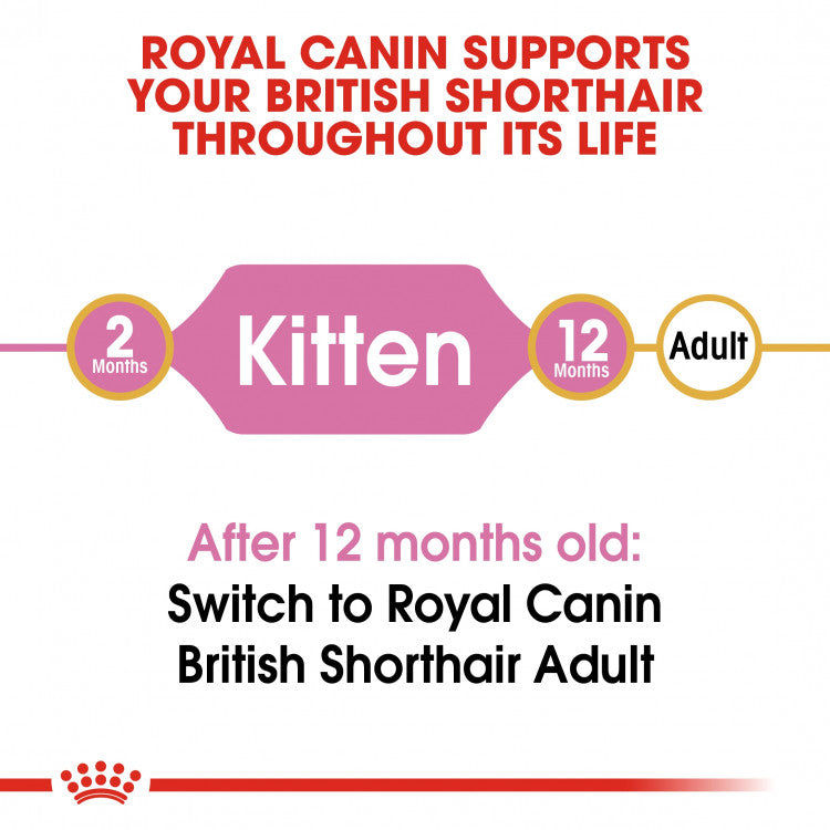 Royal Canin Feline Breed Nutrition (British Shorthair Kitten) - 2kg