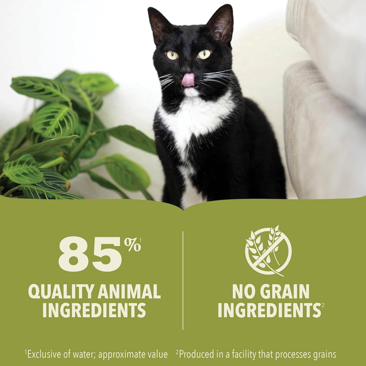 Acana Premium Tuna & Chicken Pate Cat Wet Food 85G
