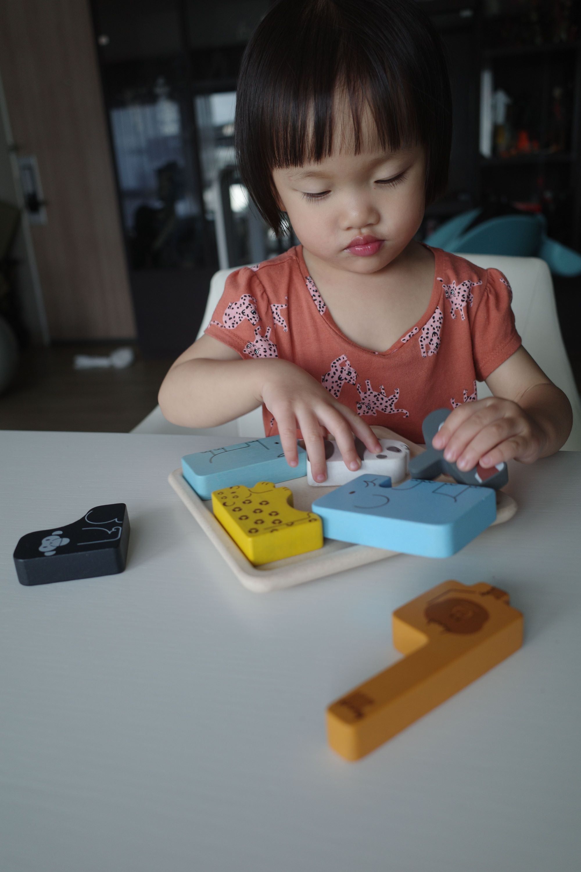 PlanToys Animal Puzzle Game
