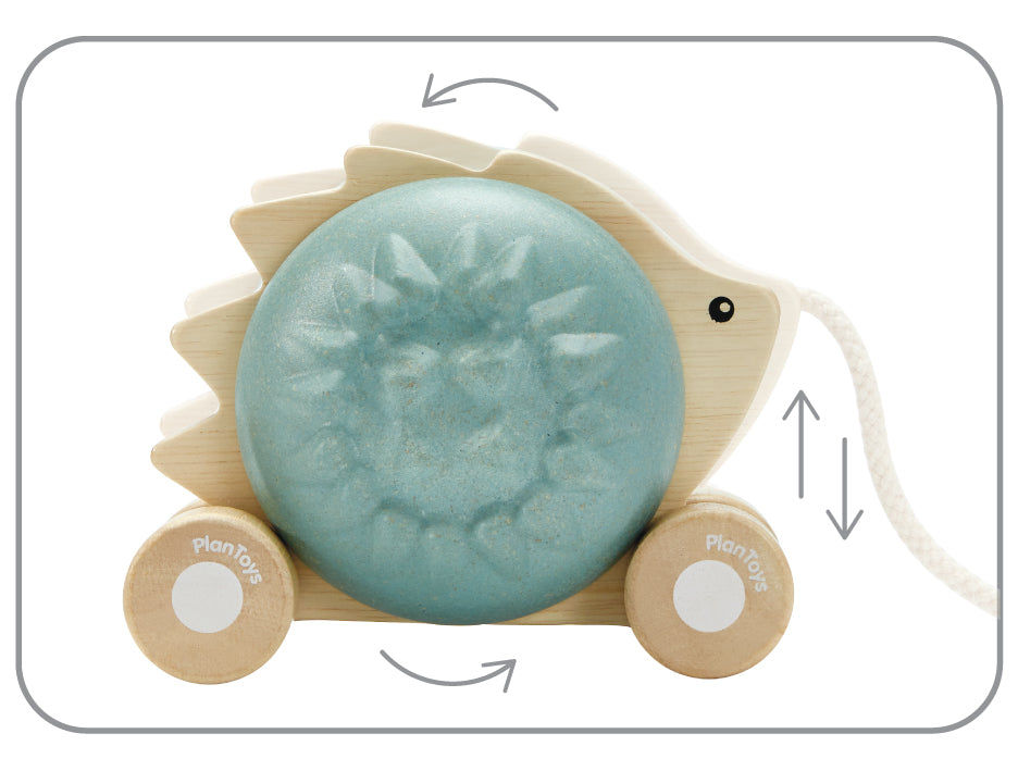 PlanToys Pull - Along Hedgehog - Blue