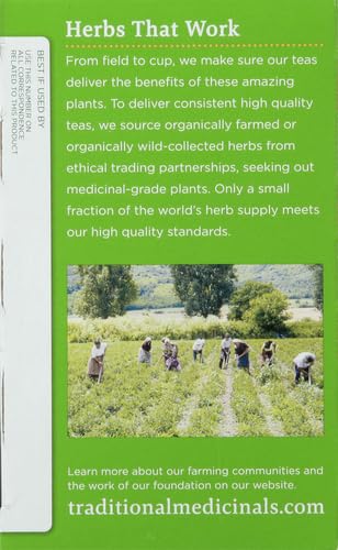 Traditional Medicinals Organic Green Tea, Peppermint, 16 Count