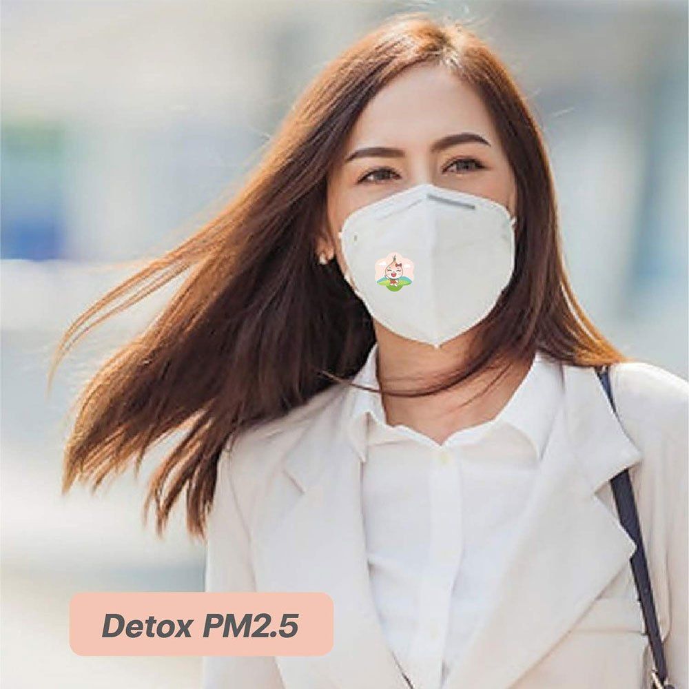 Happy Noz Onion Sticker with Clove Oil: Anti-Pollution &amp; Detox 100% Organic, Fast-Acting, 12 Hours Protection 6 Sachets