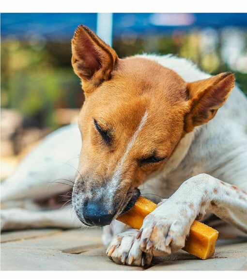Dogsee Large Bars: Long-Lasting Dental Chews for Large Dogs -130g