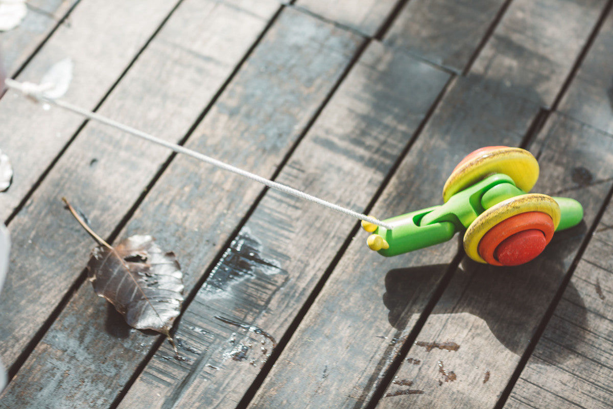 PlanToys Pull Along Snail