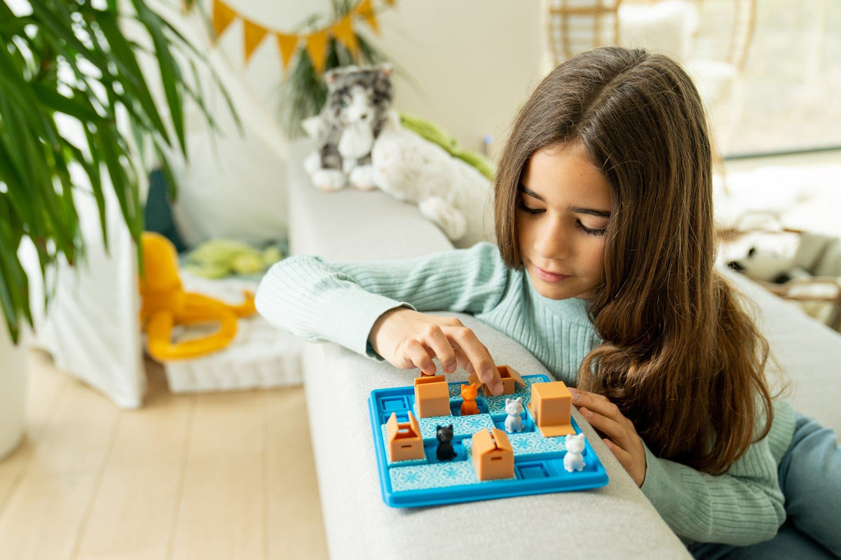 Smart Games Cats & Boxes — Sequential Puzzle Game