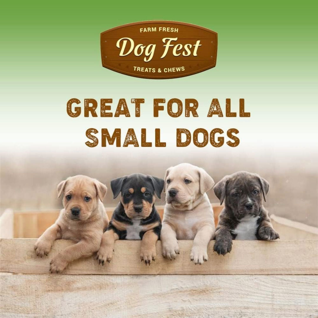 Dog Fest Turkey Medallions For Small Breeds, 55gm