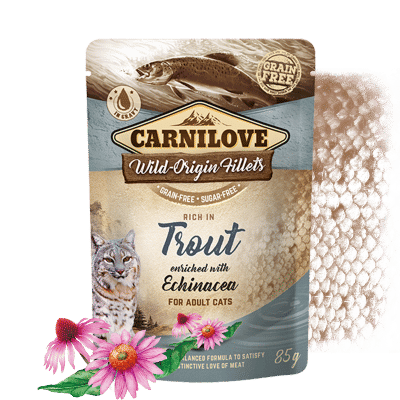 Carnilove cat pouch rich in Trout enriched with Echinacea 85 g