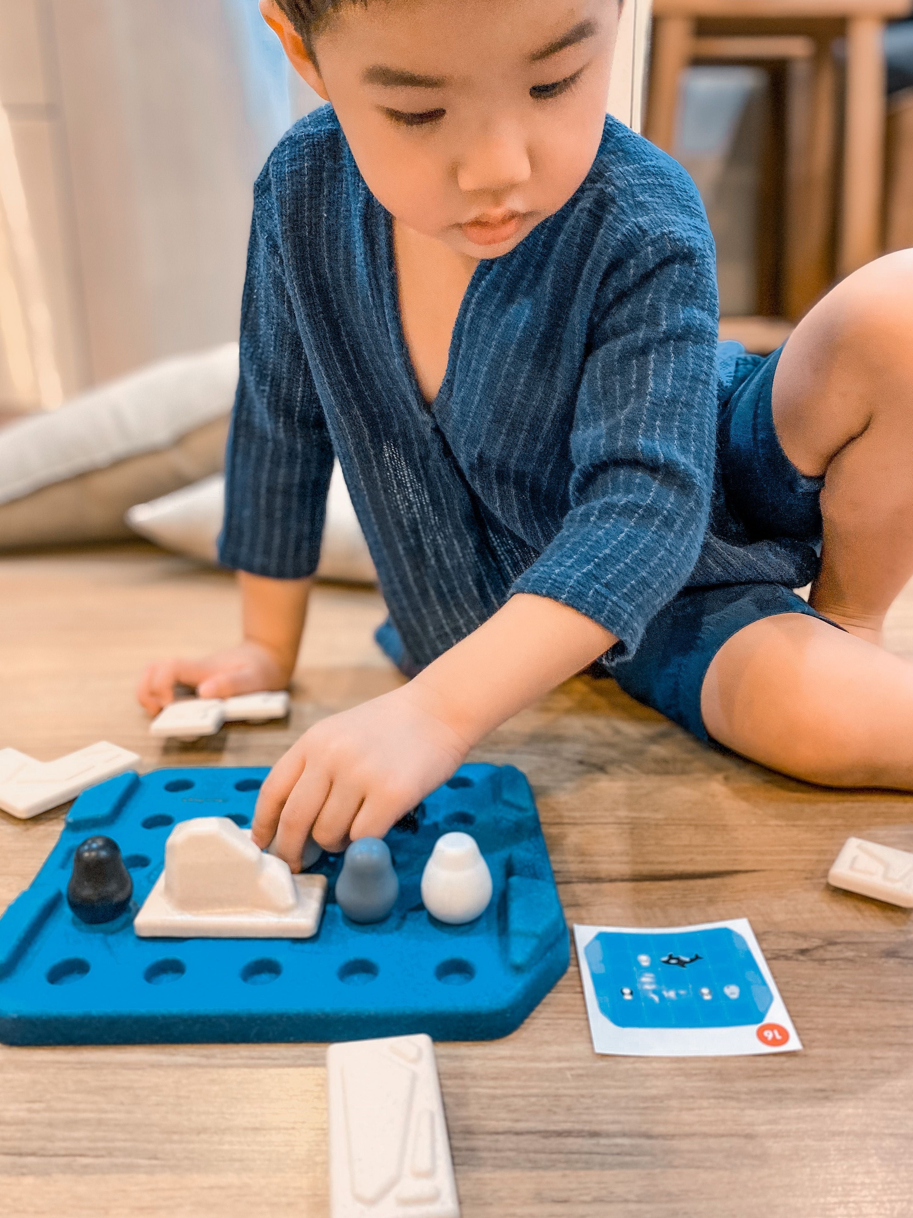 PlanToys Finding Penguin Game