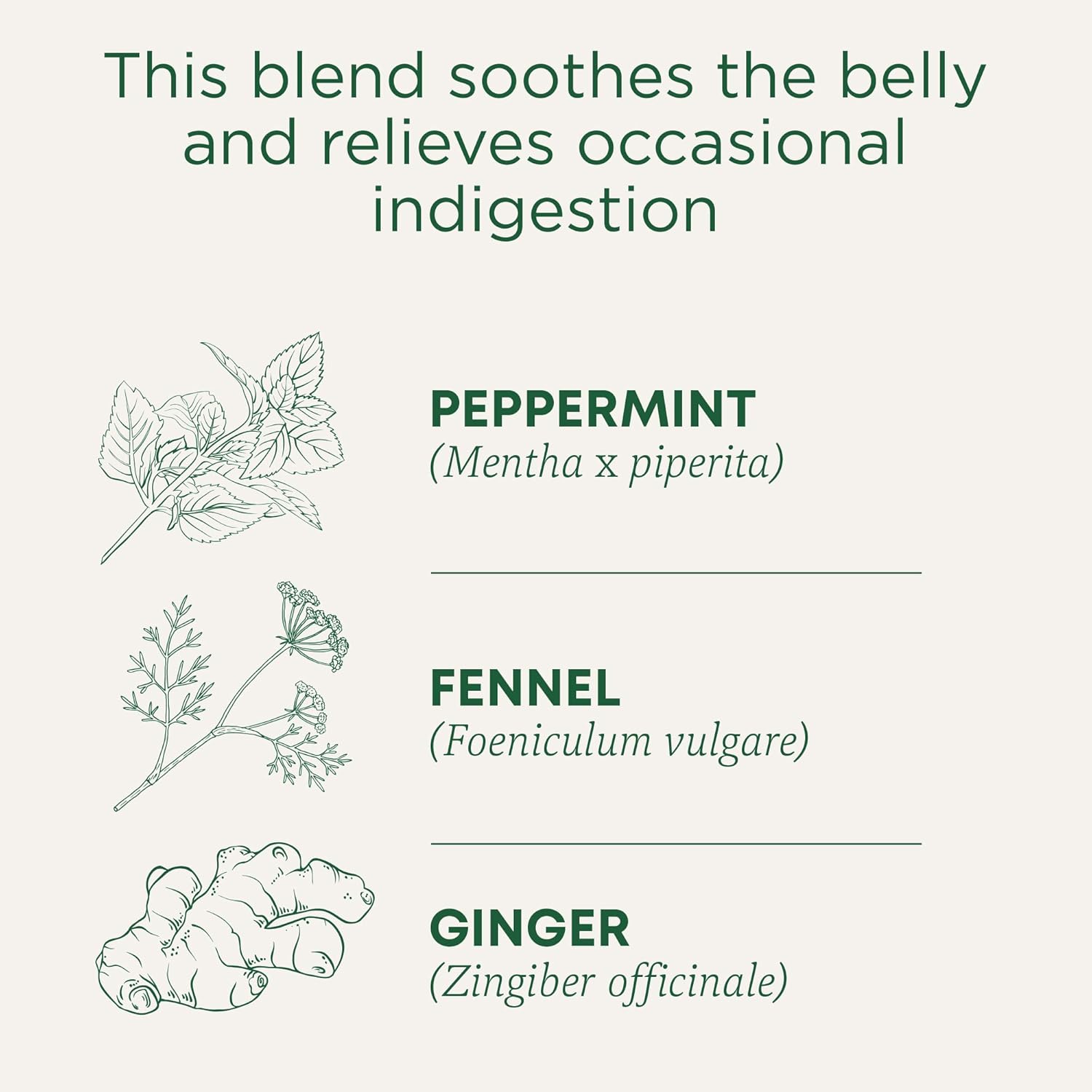 Tm Belly Comfort 16 Tea