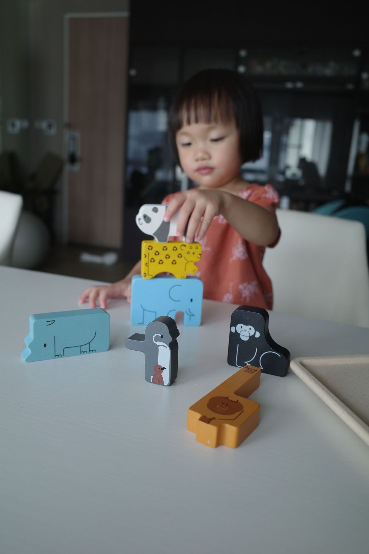 PlanToys Animal Puzzle Game