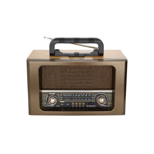 NNS Bluetooth Radio NS 6670 BT