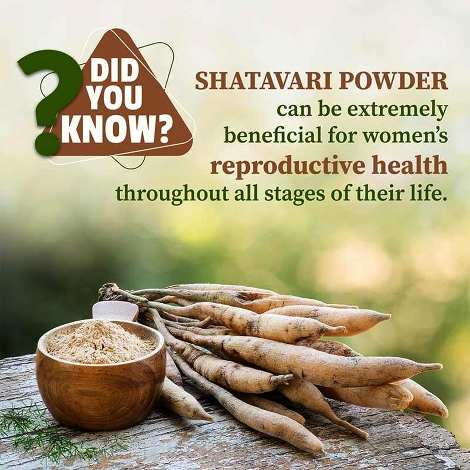 VEDAPURE Organic Shatavari Powder 100g