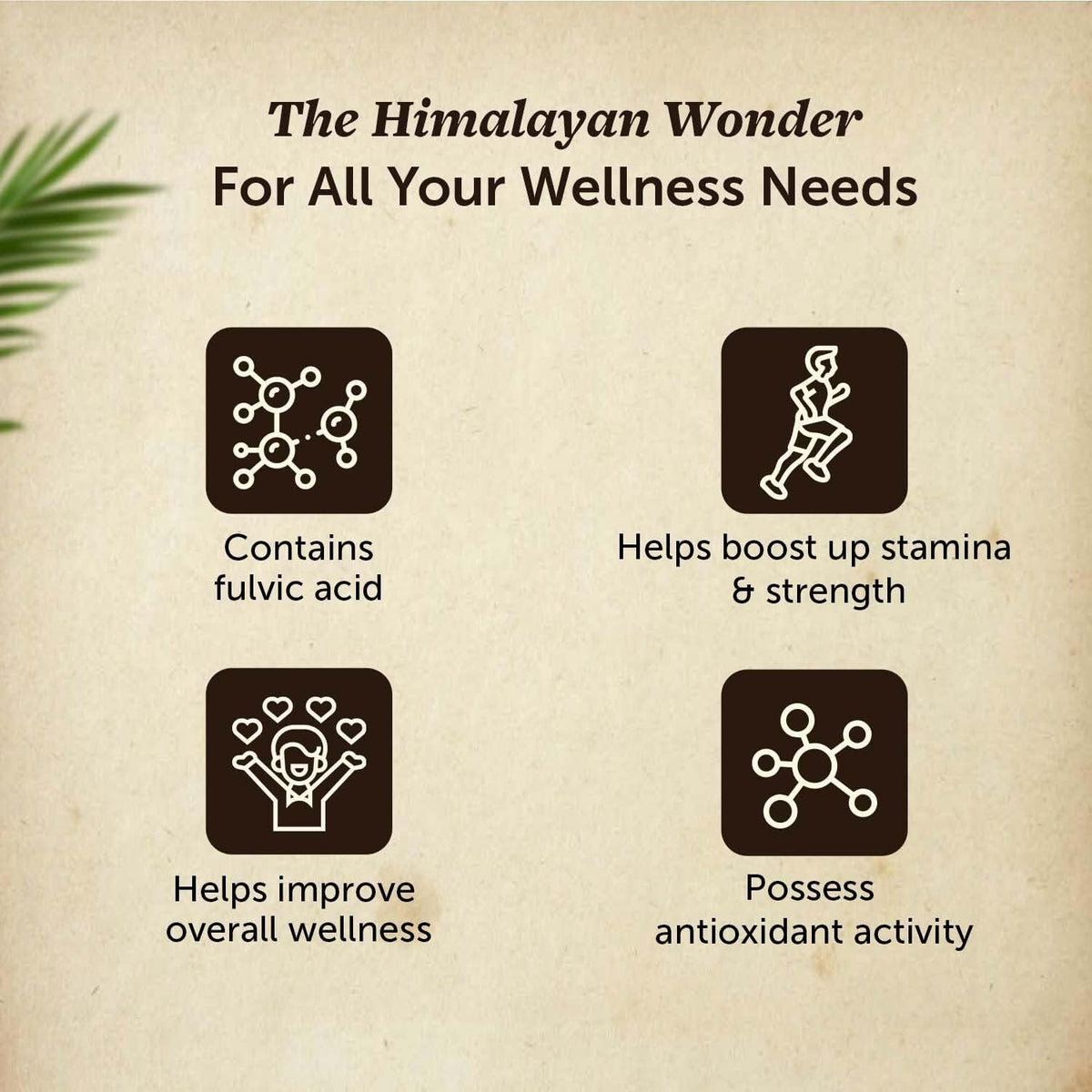 Neuherbs Pure Himalayan Shilajit 20g