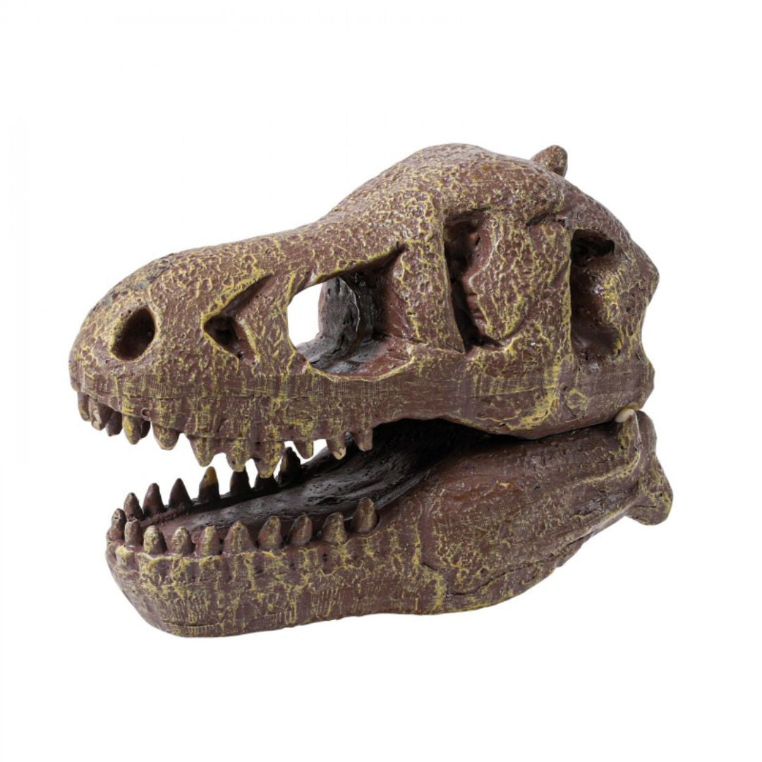Buki France Museum Dino Skull Tyrannosaurus Dig Kit