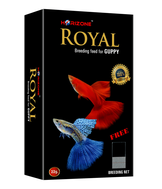 Horizone Royal Guppy Food - 22g