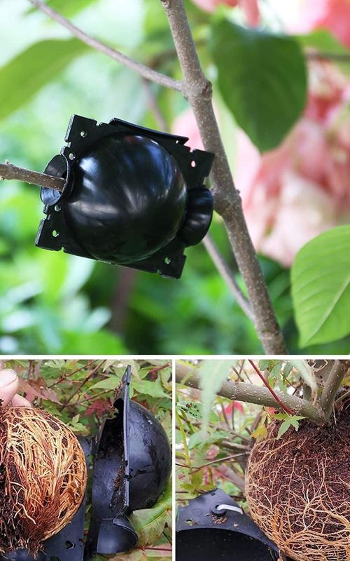 Air Layering Propagation Balls Hight-pressure Plant Rooting Ball Root Grafting Growing Breed
