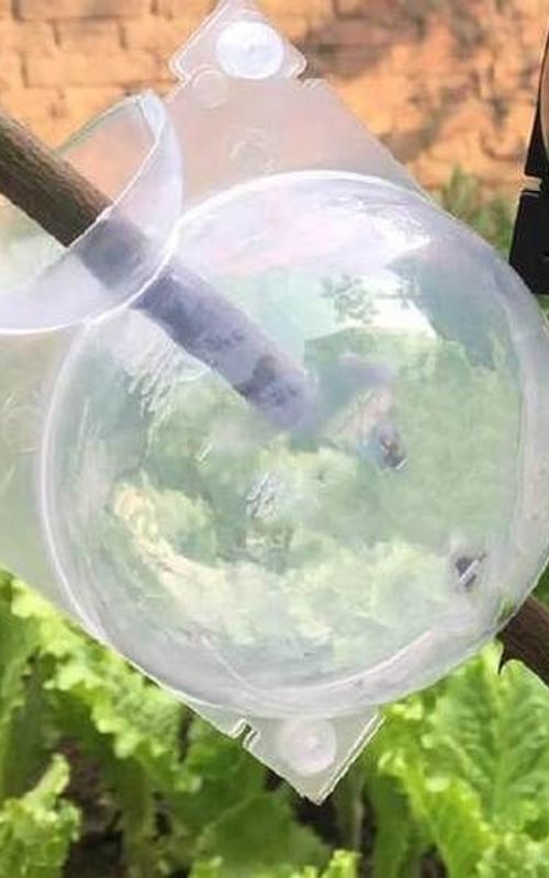 Air Layering Propagation Balls Hight-pressure Plant Rooting Ball Root Grafting Growing Breed