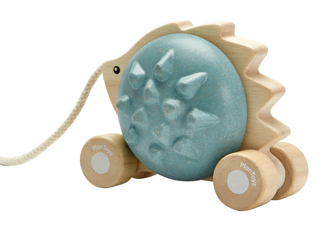 PlanToys Pull - Along Hedgehog - Blue