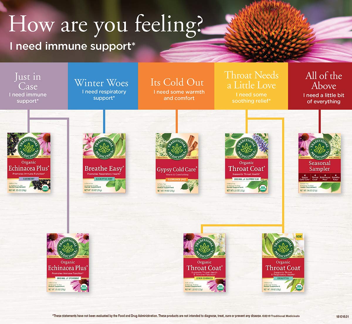Traditional Medicinals Teas Organic Echinacea Plus Elderberry Tea, Elder 16 Bags (Pack Of 1)