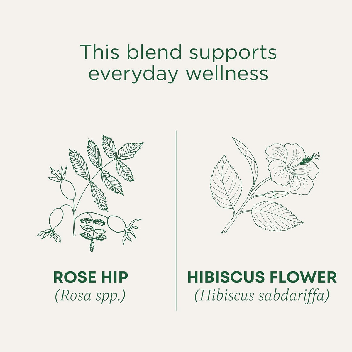 Traditional Medicinal Rose Hips With Hibiscus, 16 Teabags